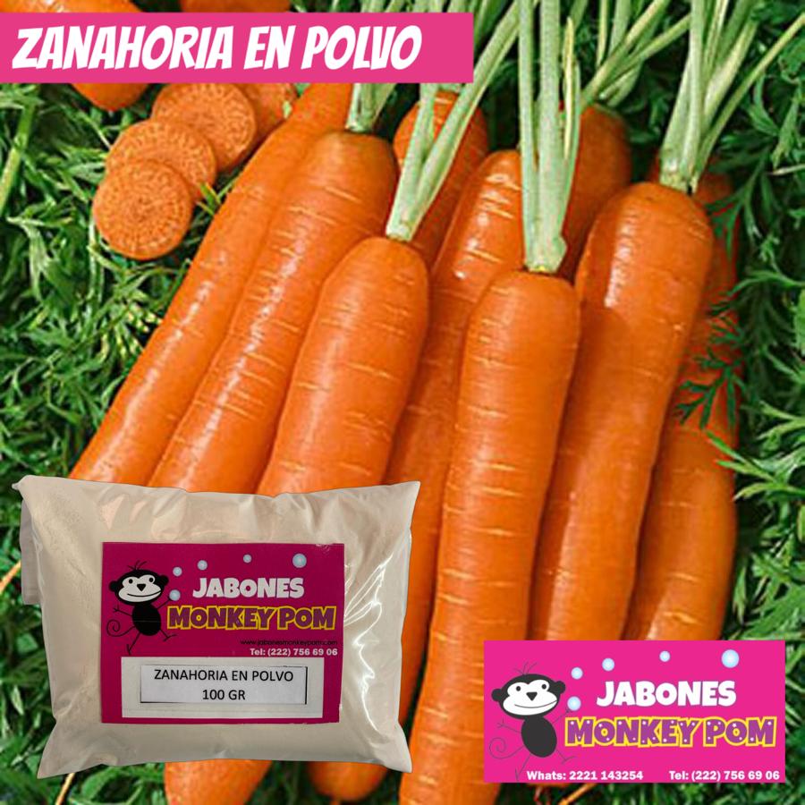 Zanahoria en Polvo